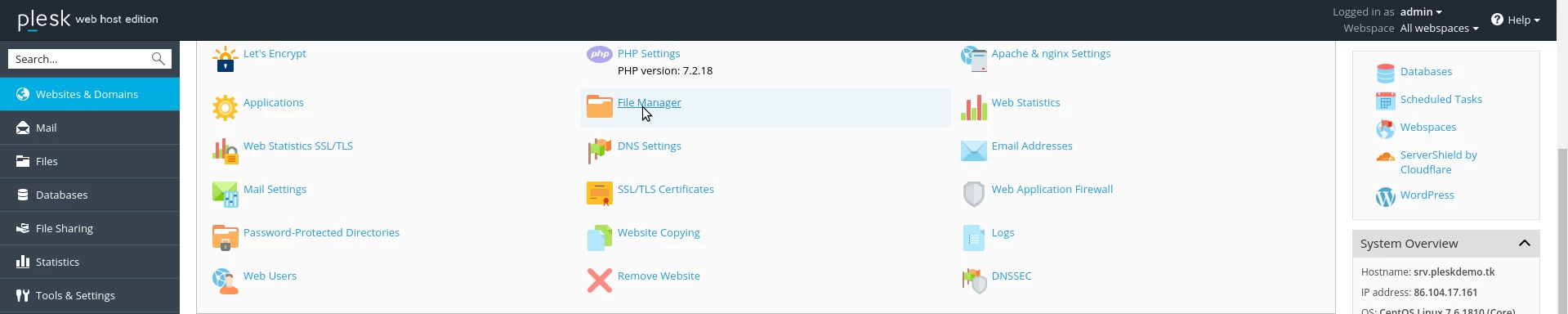 File Manager inside Plesk Website