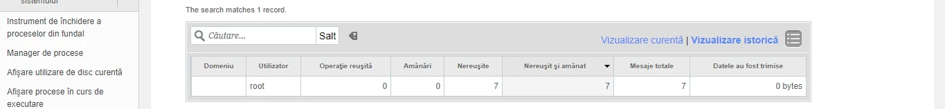Detaliere raport
