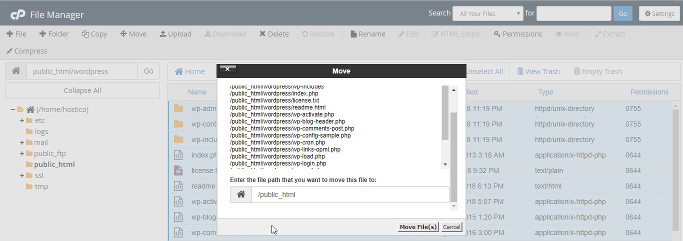 Mutare fișiere WordPress